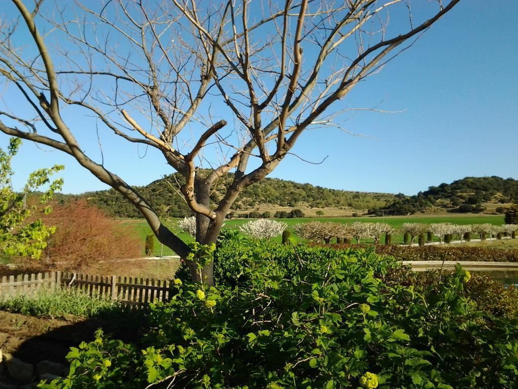 Country house Torre Gargallo *