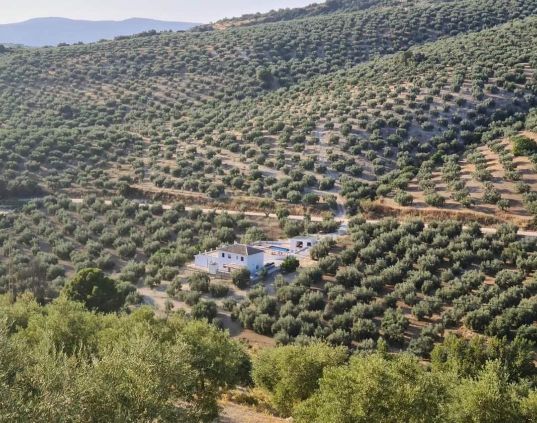 Holiday home Cortijo La Polilla