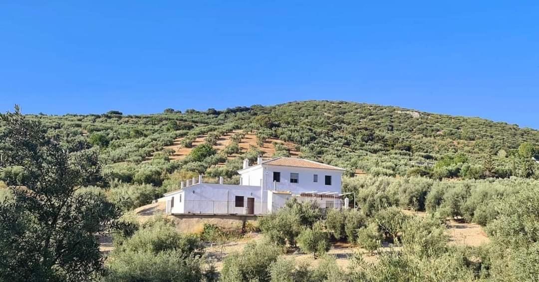 Holiday home Cortijo La Polilla *