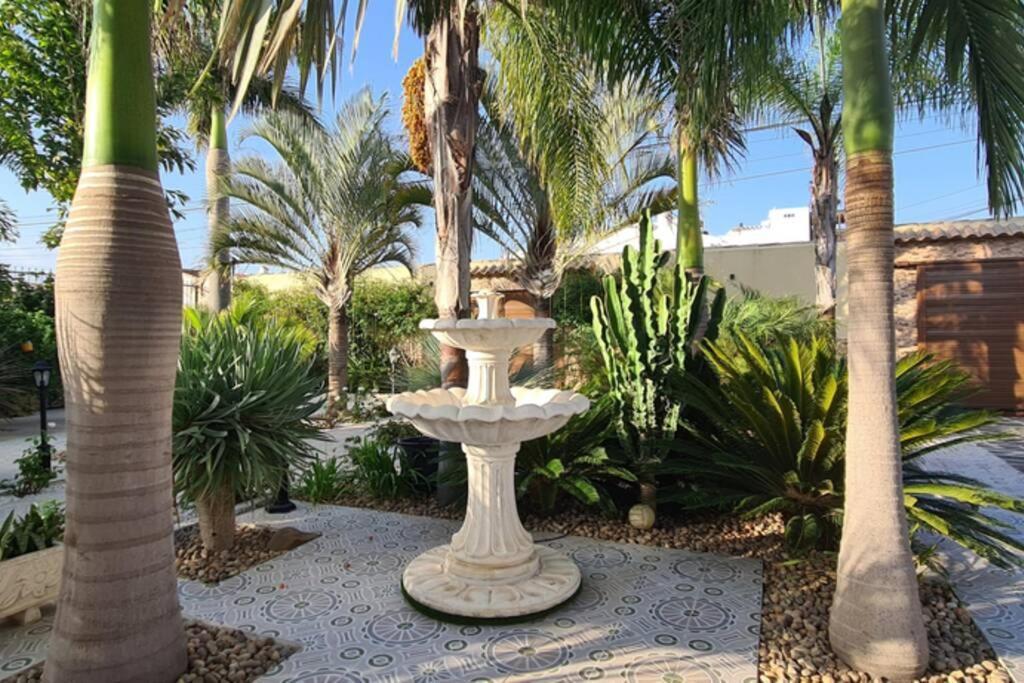 Tropical Paradise In Torrevieja