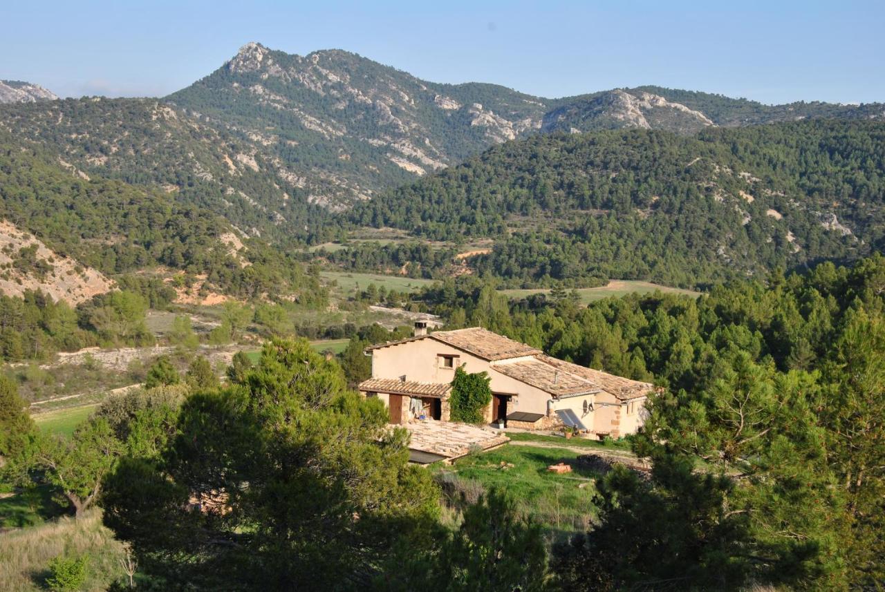 Mas De Tapias