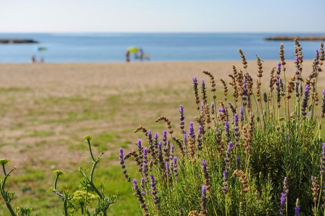Casa Del Dorado Playa Holiday home Cambrils