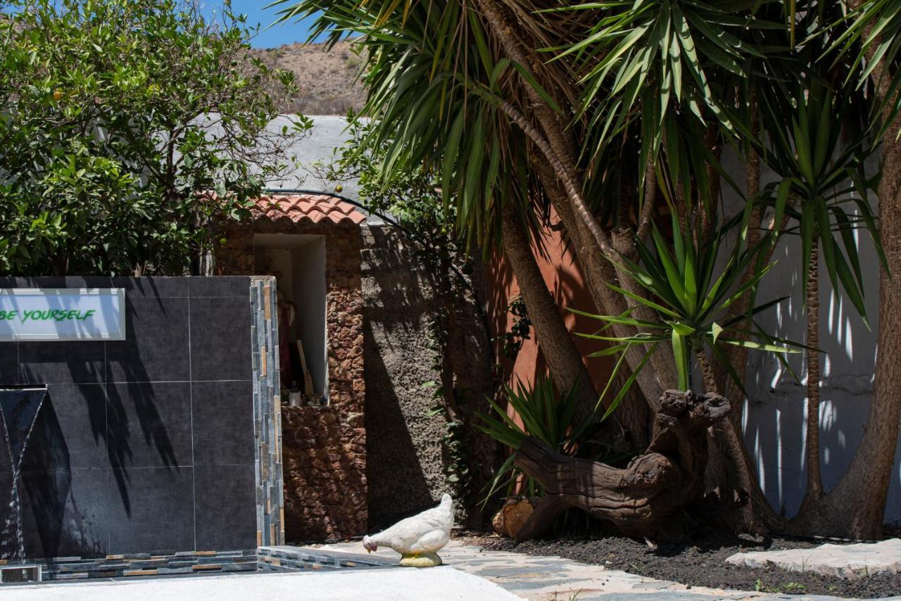 Eco / Bio Finca Tenerias Artedara