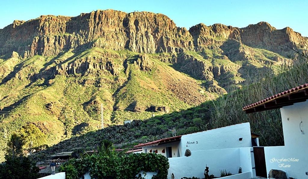 Eco / Bio Finca Tenerias *