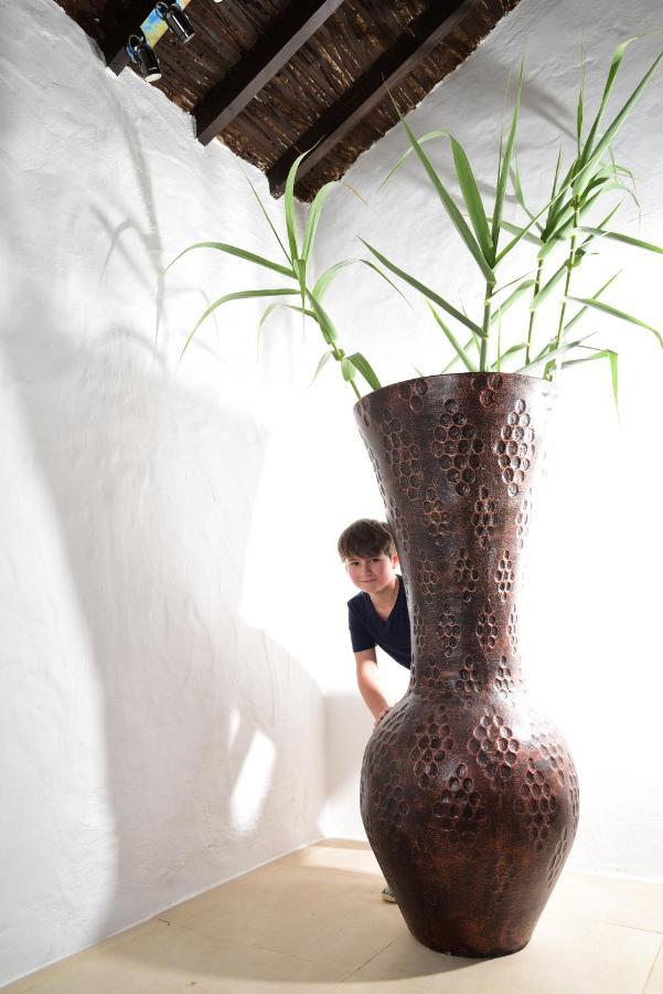 Chalet Eco / Bio Finca Tenerias Artedara