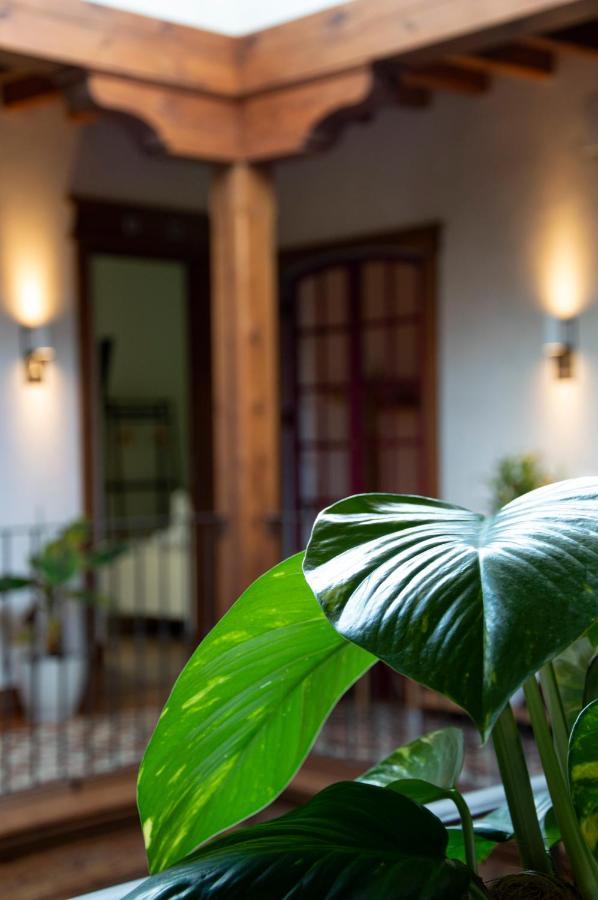 La Casa Del Medico Rural Bed & Breakfast Urda