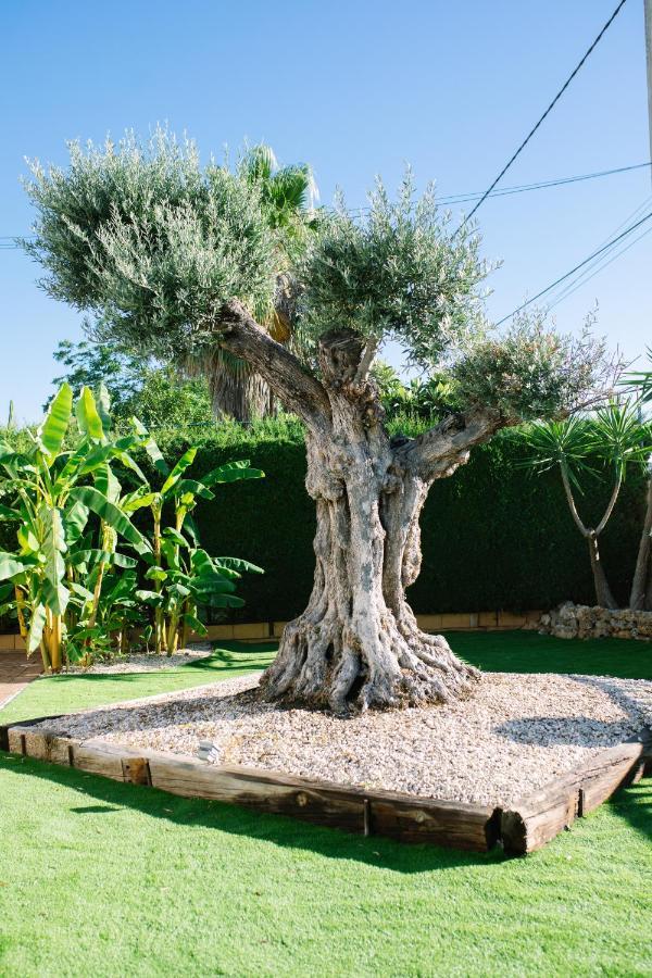 Country house Casa Luxury 