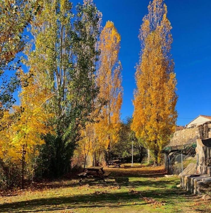 Country house El Robledo *