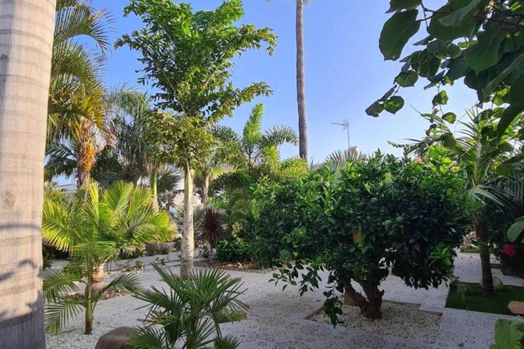 Tropical Paradise In Villa