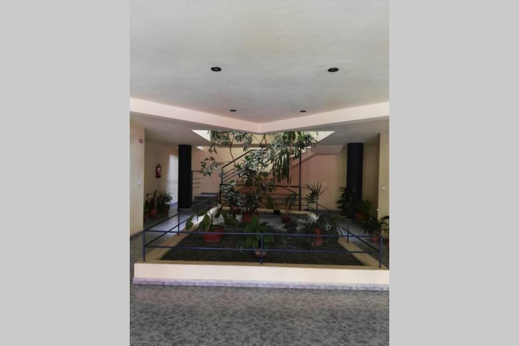 Apartment Bonito Y Amplio Piso En Llanos De Aridane