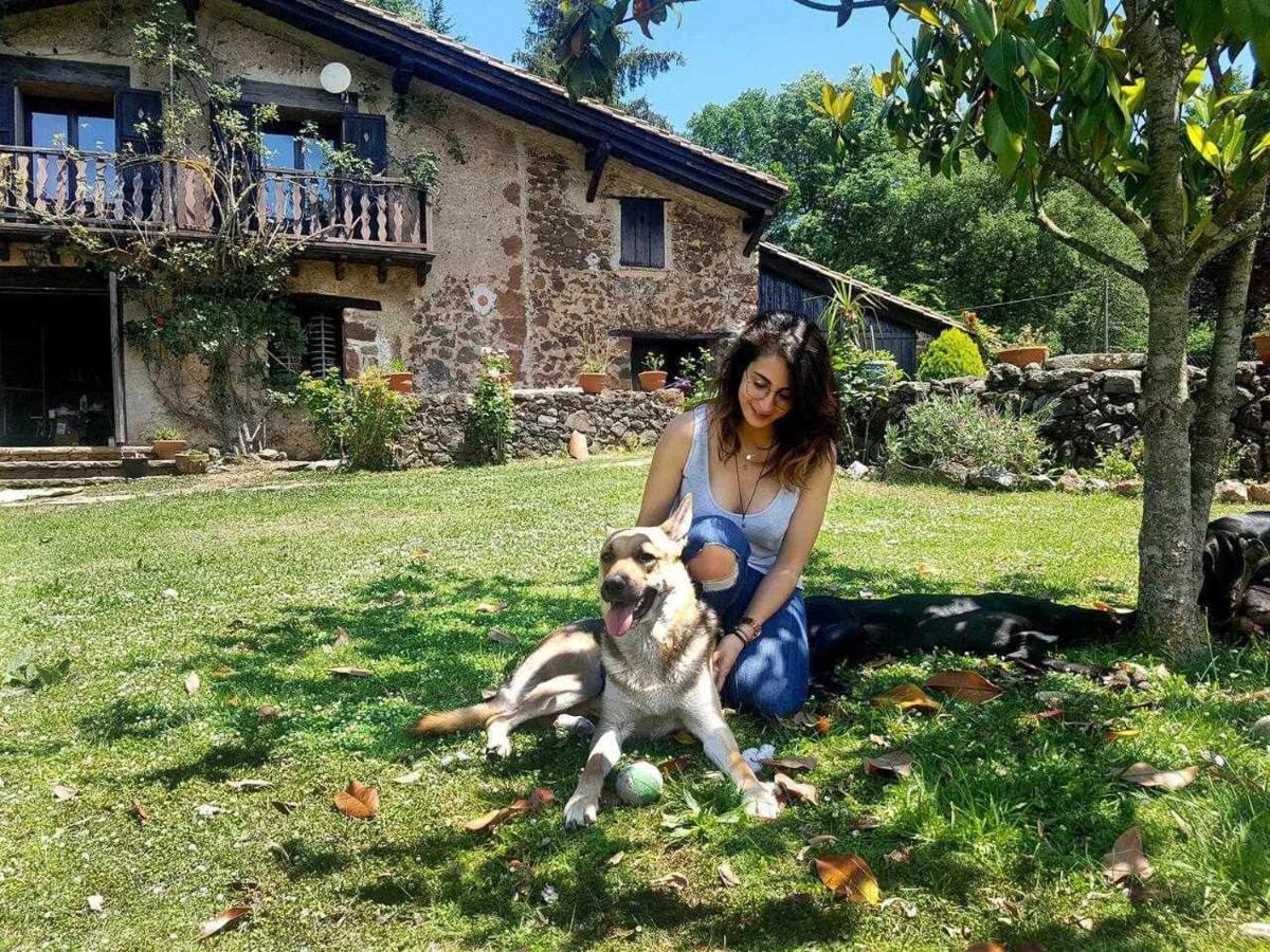 Mas Els Plans La casa pensada para perros que viajan con sus humanos Casa rural