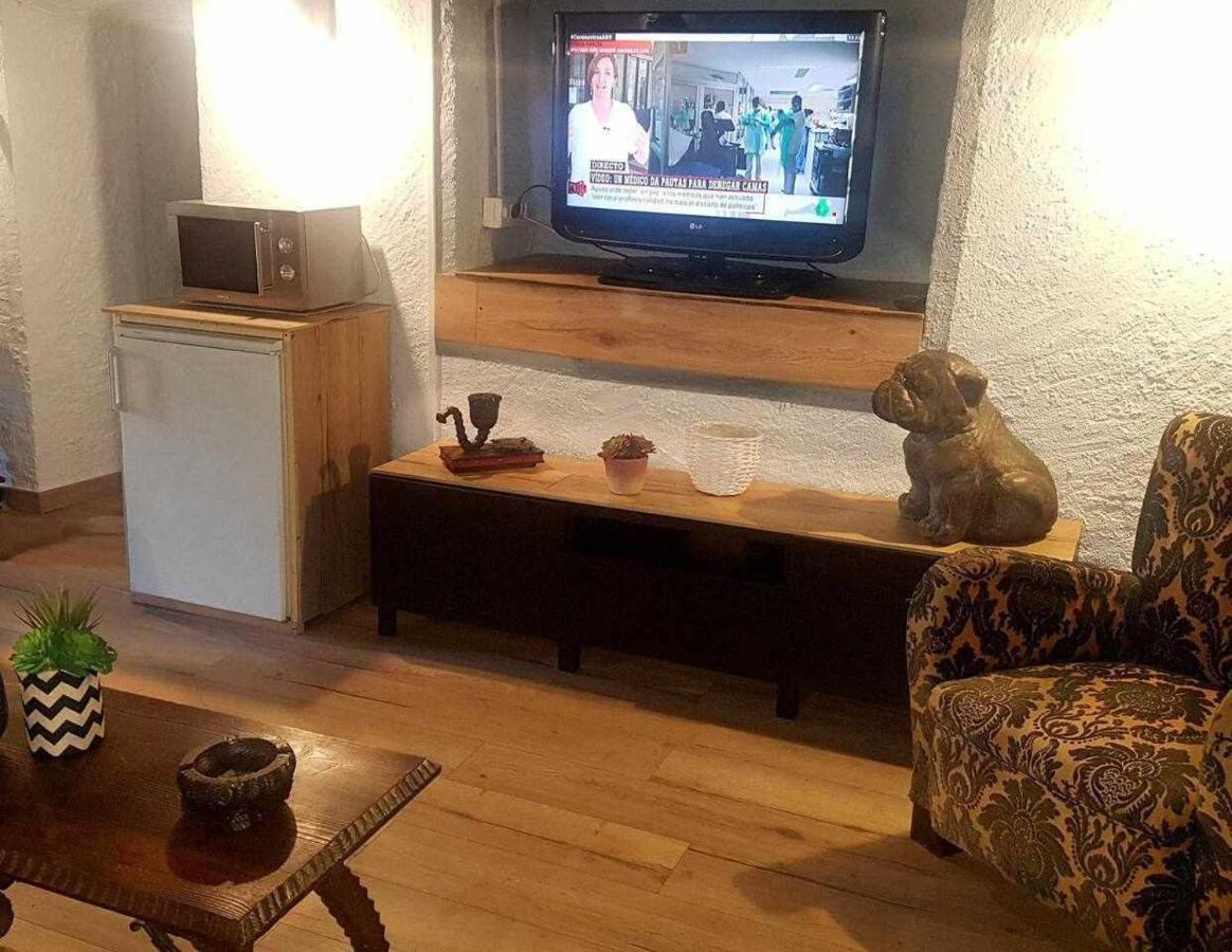 Mas Els Plans La casa pensada para perros que viajan con sus humanos Olot