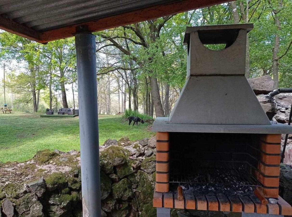 Mas Els Plans La casa pensada para perros que viajan con sus humanos *
