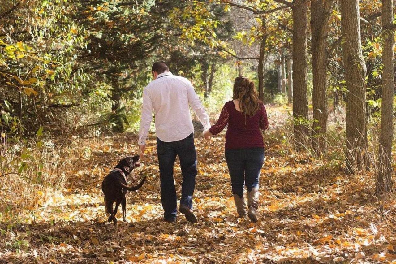 Casa rural Mas Els Plans La casa pensada para perros que viajan con sus humanos Olot