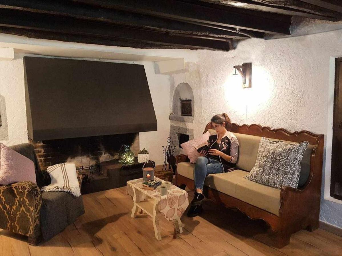 Mas Els Plans La casa pensada para perros que viajan con sus humanos