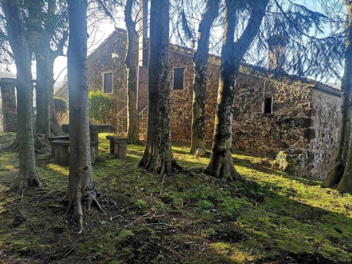 Mas Els Plans La casa pensada para perros que viajan con sus humanos