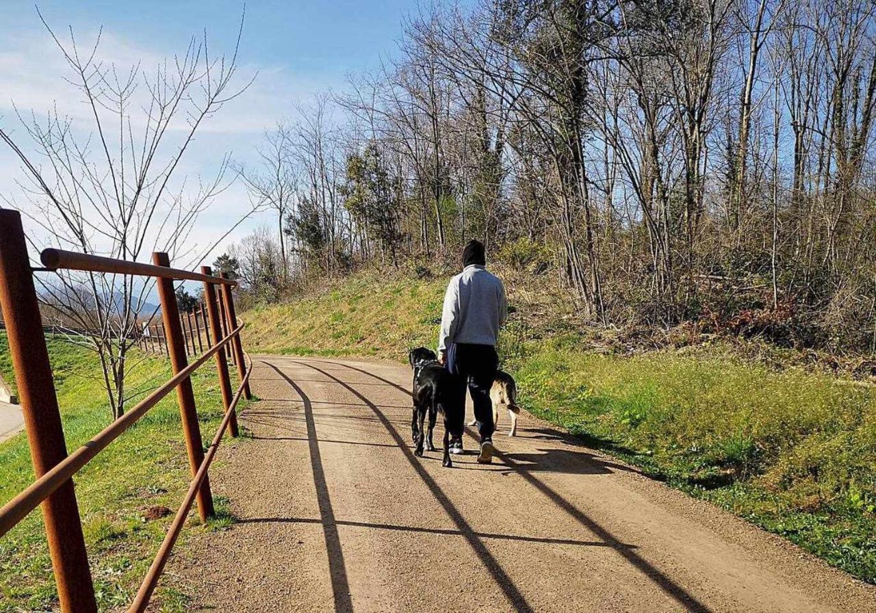 Casa rural Mas Els Plans La casa pensada para perros que viajan con sus humanos Olot