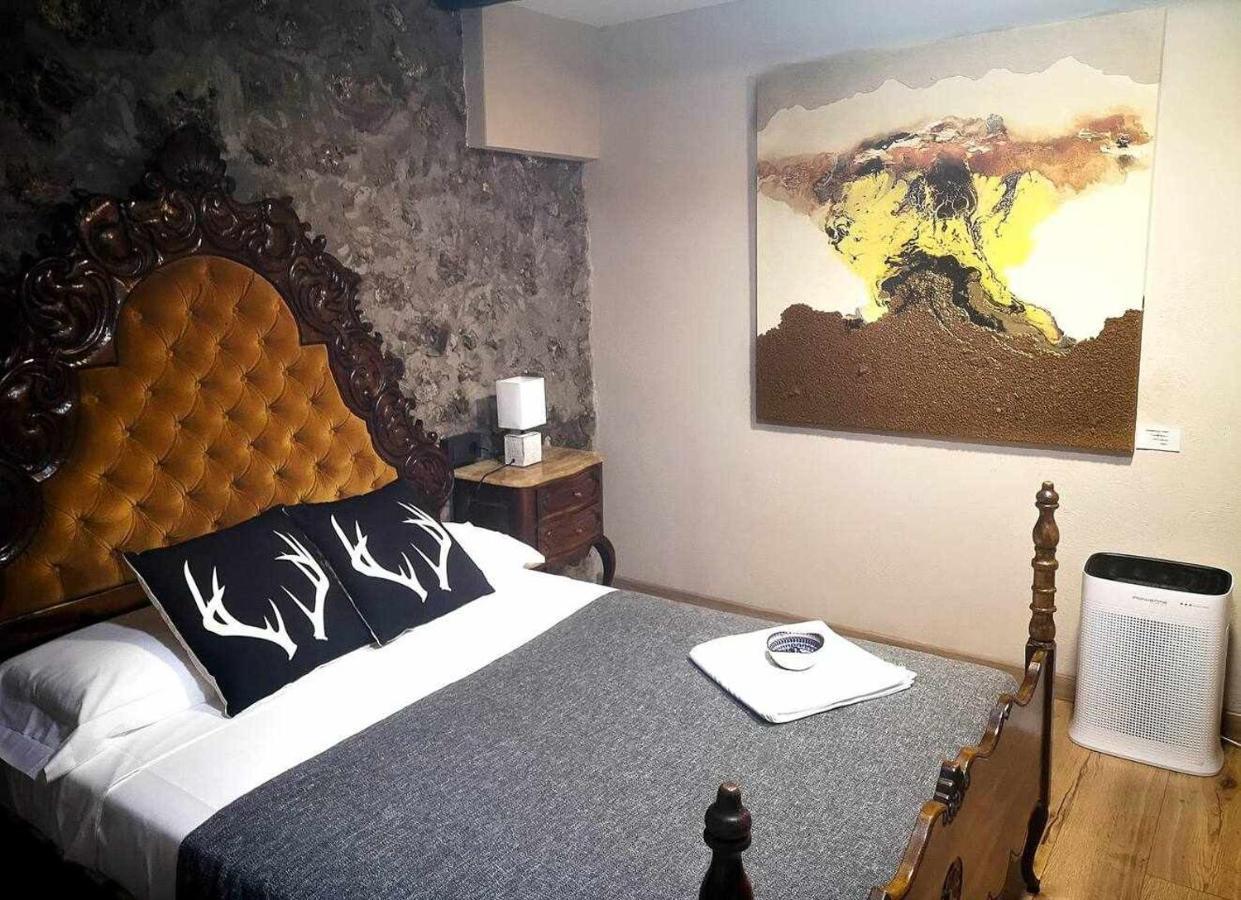 Casa rural Mas Els Plans La casa pensada para perros que viajan con sus humanos