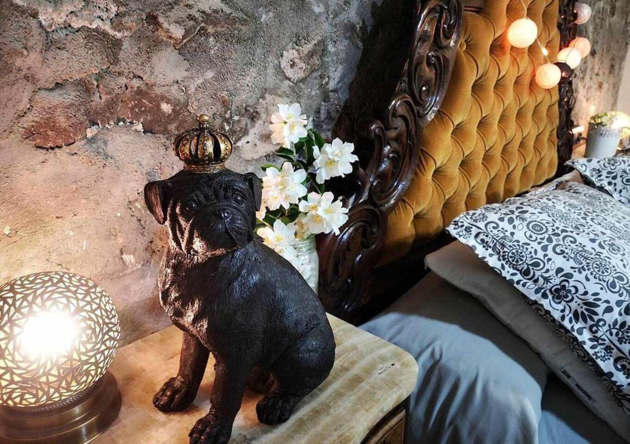 Mas Els Plans La casa pensada para perros que viajan con sus humanos * Olot