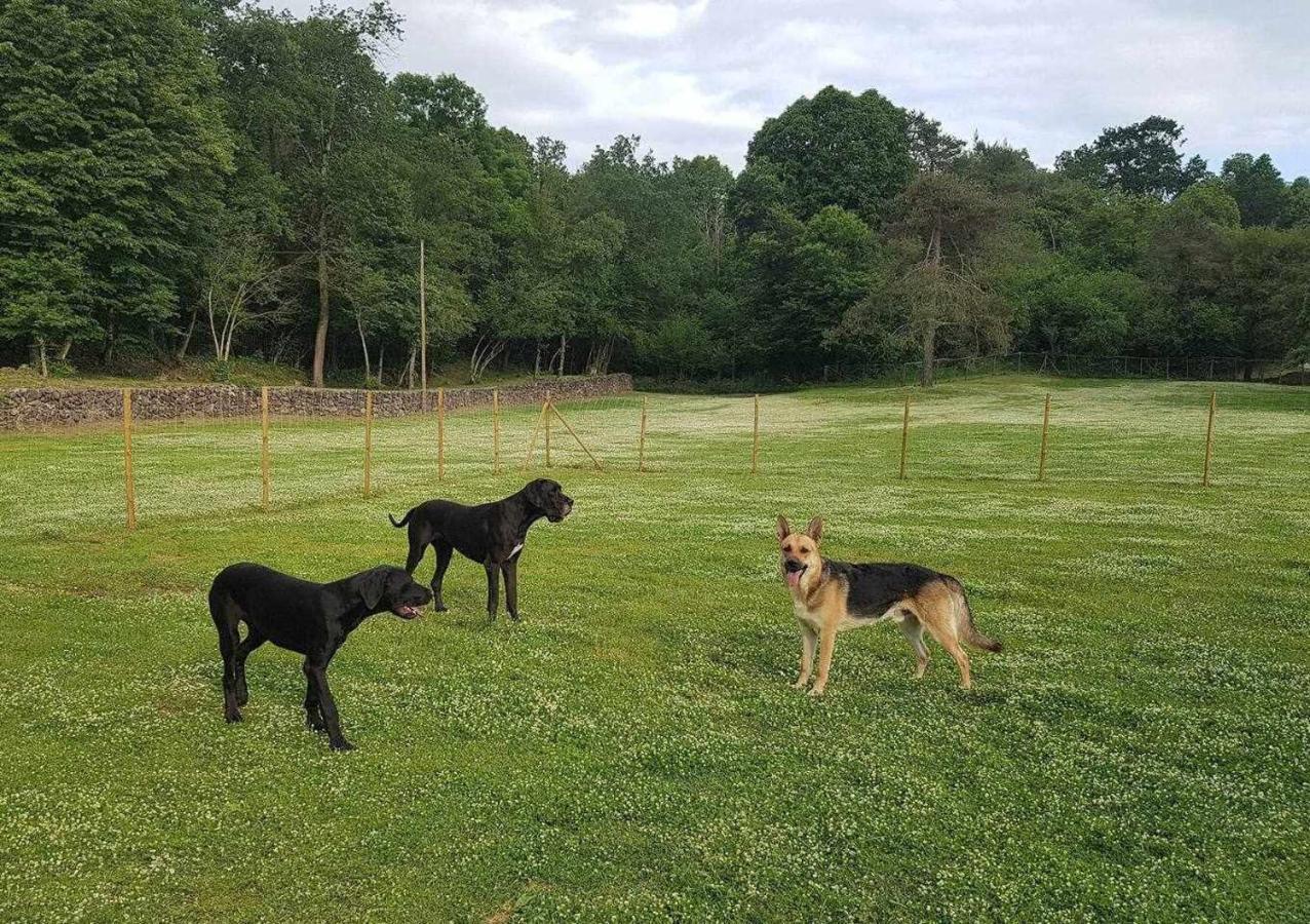 Mas Els Plans La casa pensada para perros que viajan con sus humanos Olot