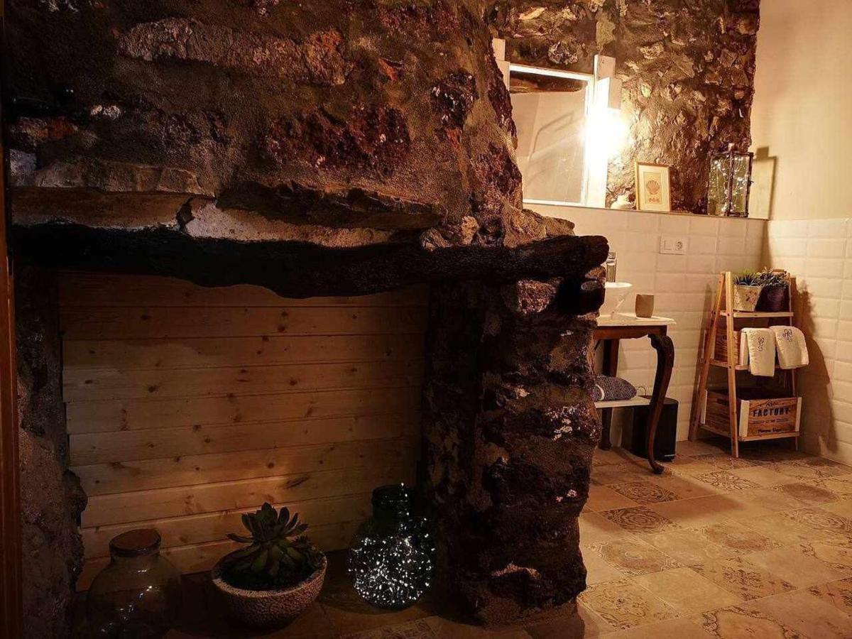 Mas Els Plans La casa pensada para perros que viajan con sus humanos *