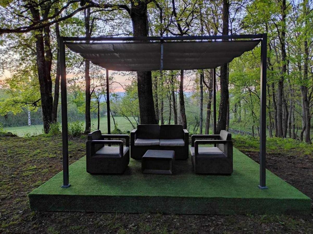 Mas Els Plans La casa pensada para perros que viajan con sus humanos *