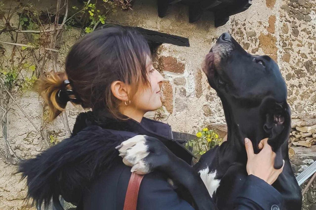 Mas Els Plans La casa pensada para perros que viajan con sus humanos Casa rural *