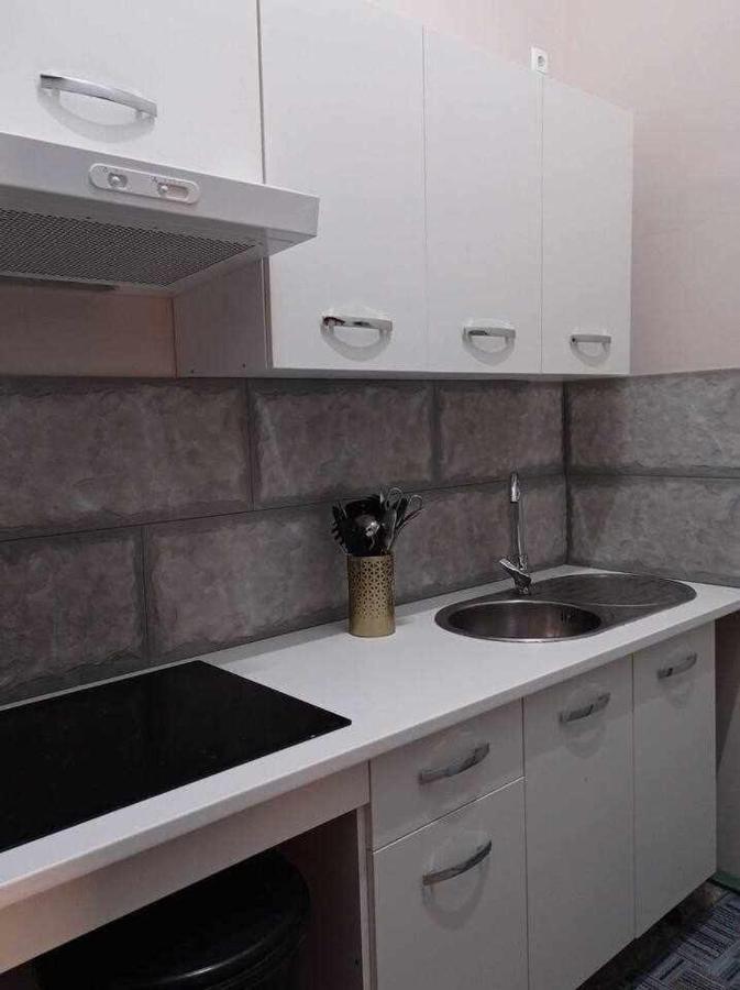 Mas Els Plans La casa pensada para perros que viajan con sus humanos Olot