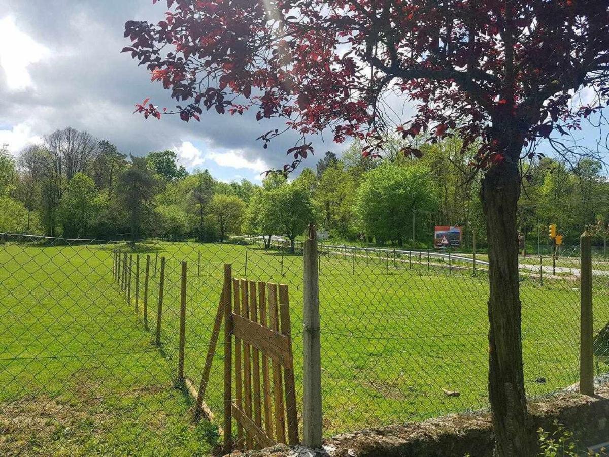 Mas Els Plans La casa pensada para perros que viajan con sus humanos Casa rural