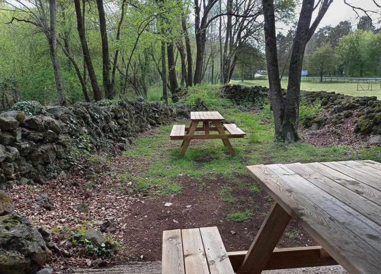 Mas Els Plans La casa pensada para perros que viajan con sus humanos * Olot