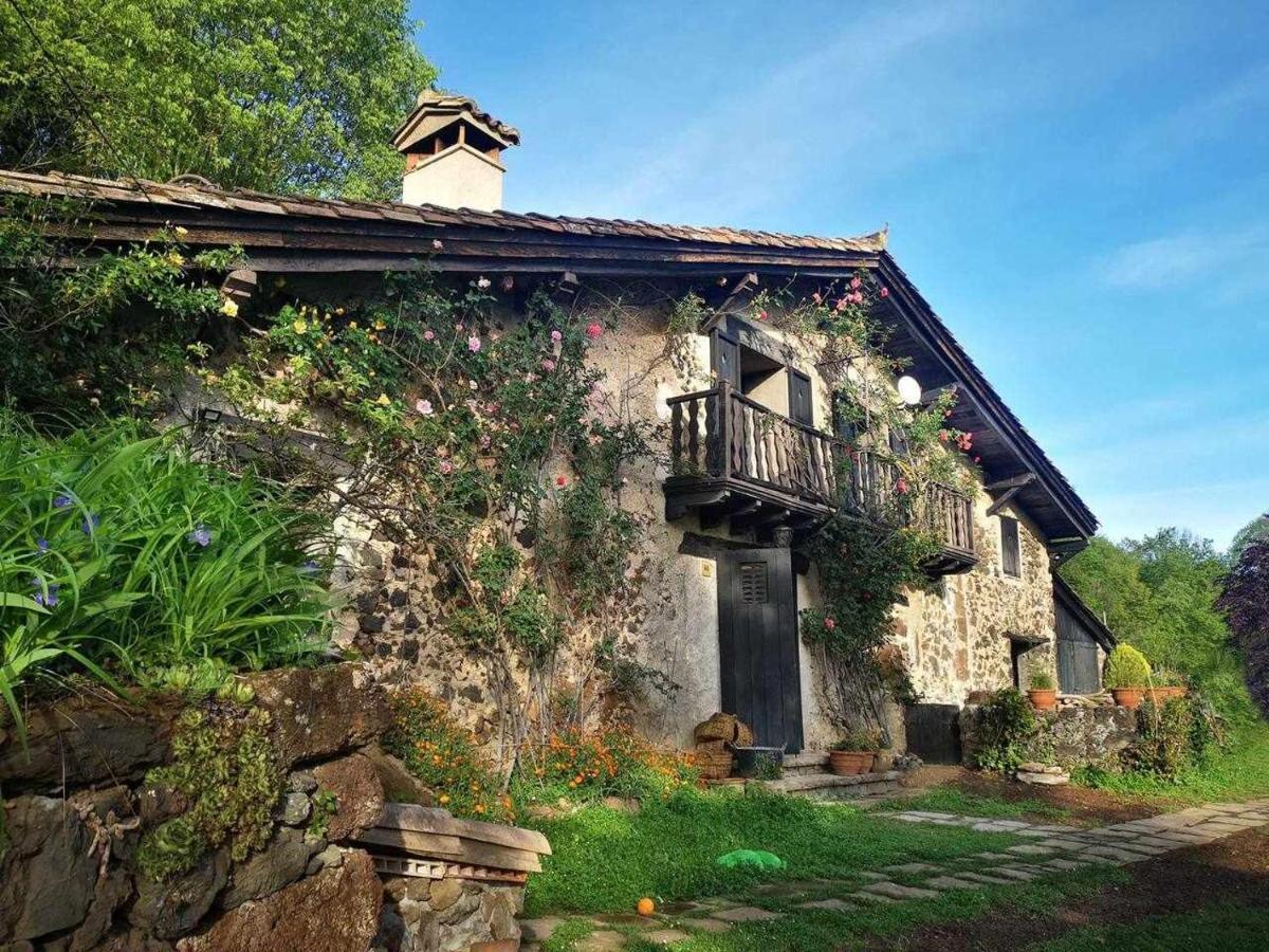 Mas Els Plans La casa pensada para perros que viajan con sus humanos Casa rural Olot