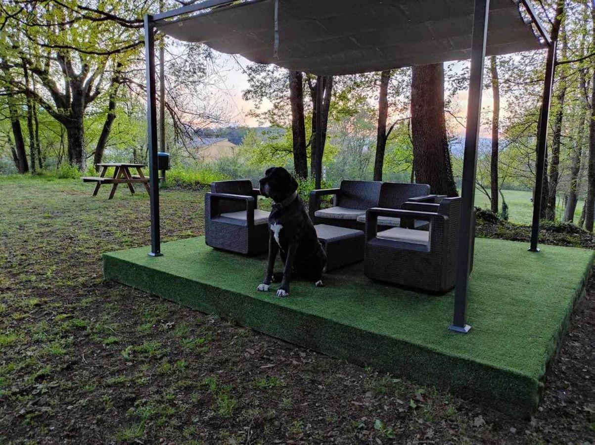 Mas Els Plans La casa pensada para perros que viajan con sus humanos *