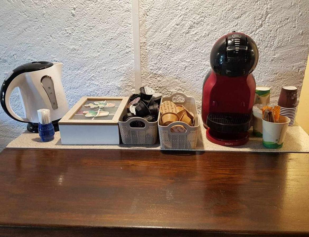 Mas Els Plans La casa pensada para perros que viajan con sus humanos *