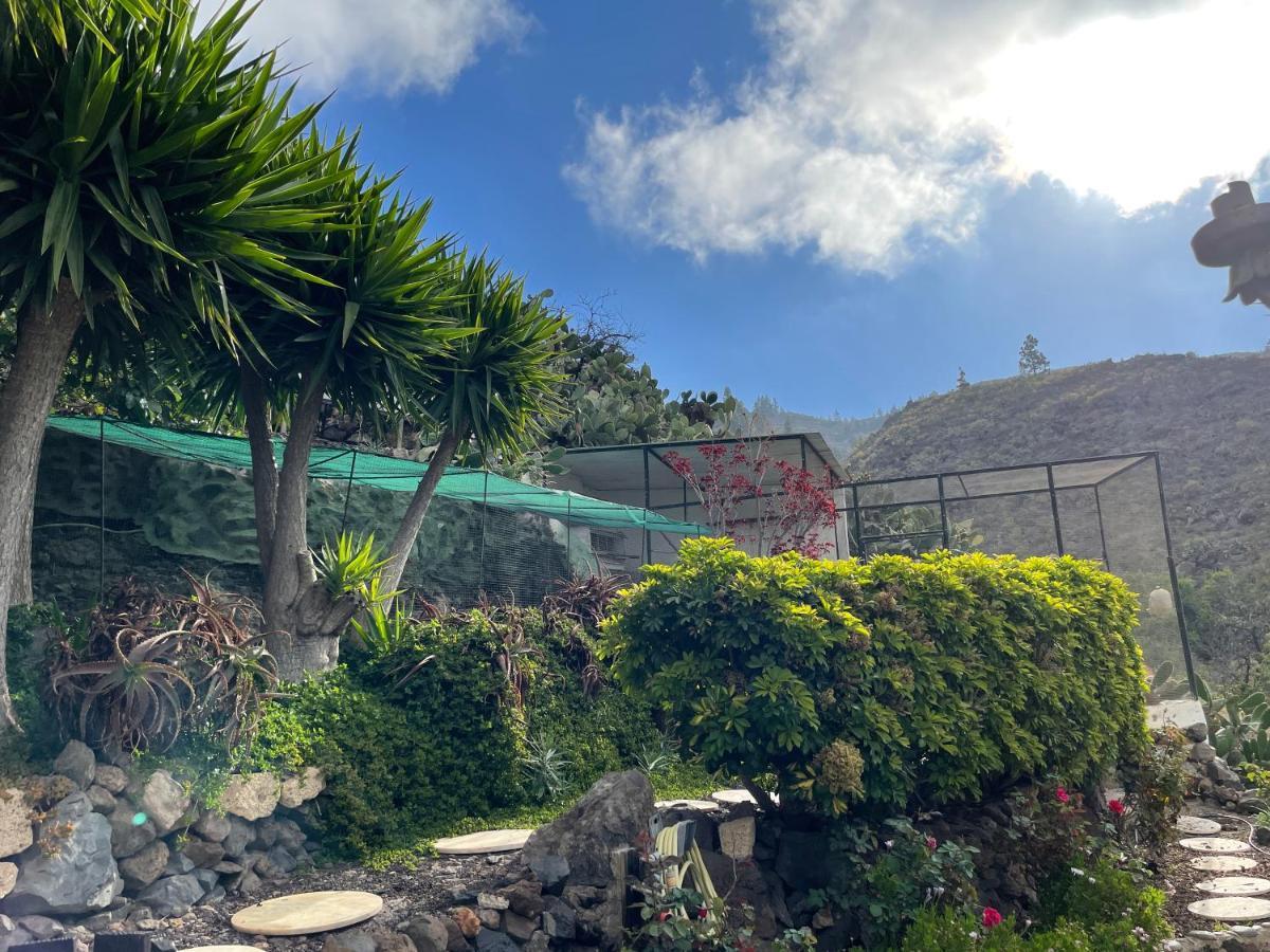 Casa Holiday home *