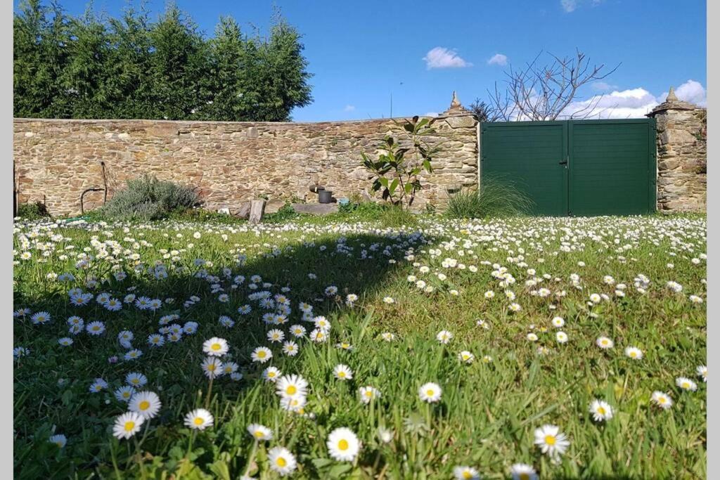Estudio Pajar Rural Con Bonito Jardin - Gayoles Rural * Castropol