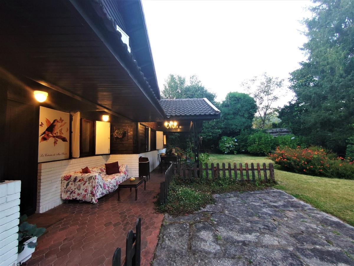Villa Slow House Y La De Miss Slower Nigran