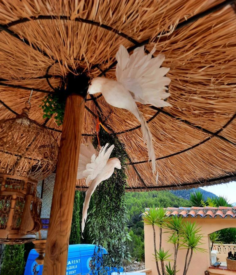 Bed & Breakfast Casa Surplace