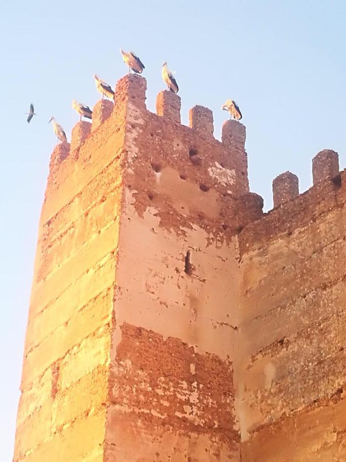 Apartamento La Casa Del Castillo *
