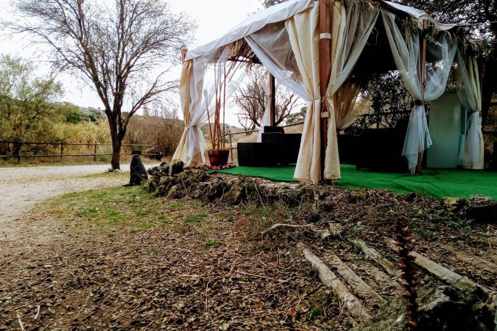 CABAÑA Rancho Aguadulce