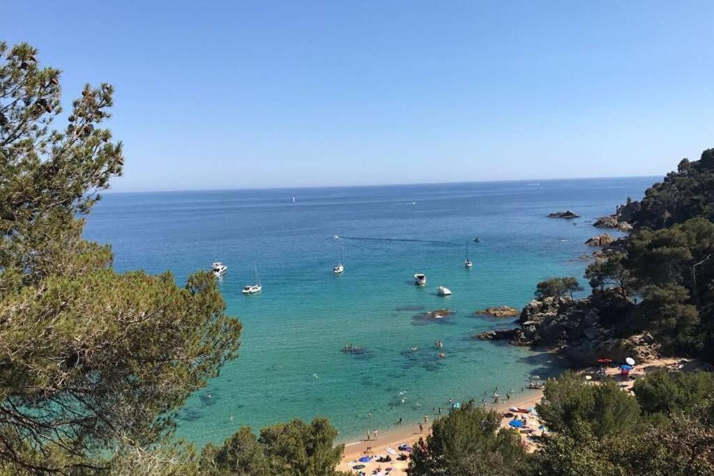 Loft Zona Fenals, Lloret De Mar. Apartamento *
