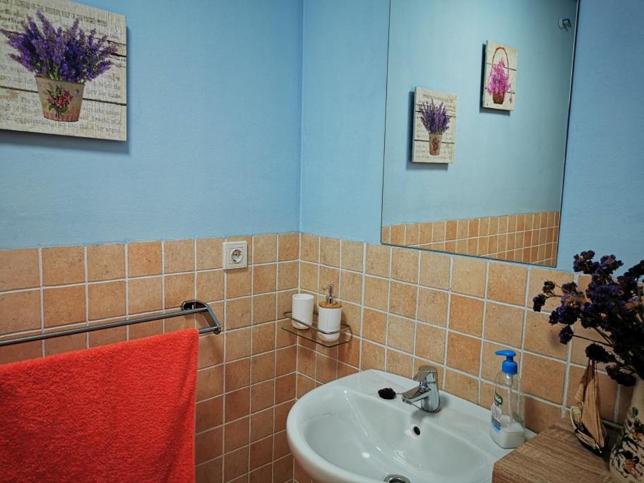 Cosy Duplex In Agaete With Wifi *