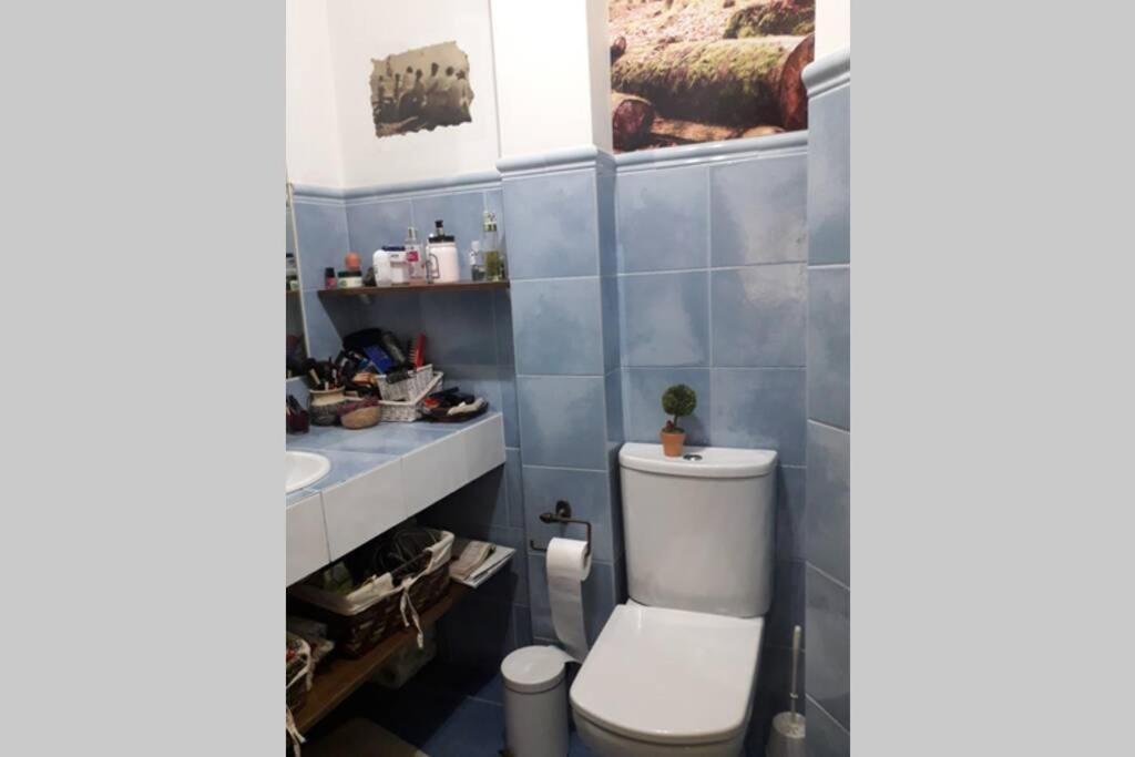 Apartamento Al Lado De La Muralla Romana De Apartamento