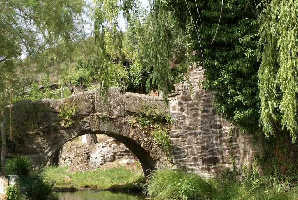 El Molino De