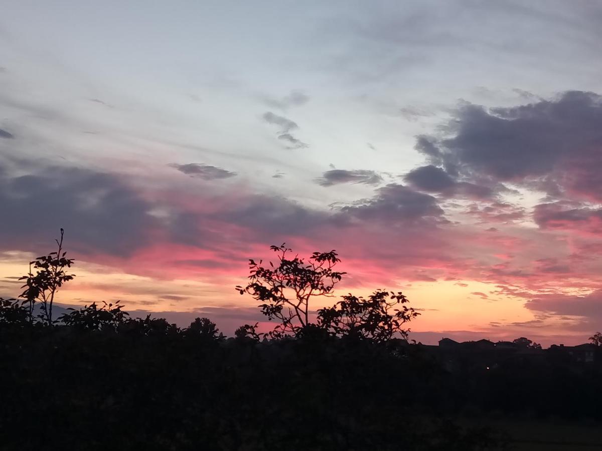 Rurales Inguanzo