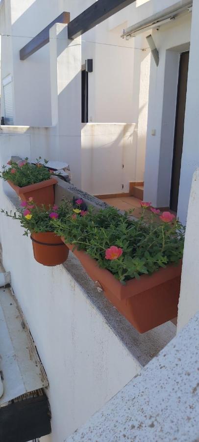 Condado De Alhama, Naranjos 8 * Alhama de Murcia