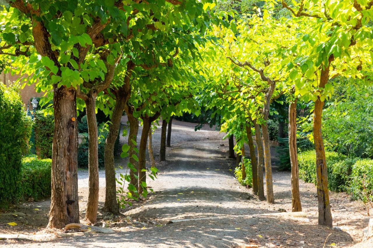 Rural Y Engracia L'Espluga de Francoli