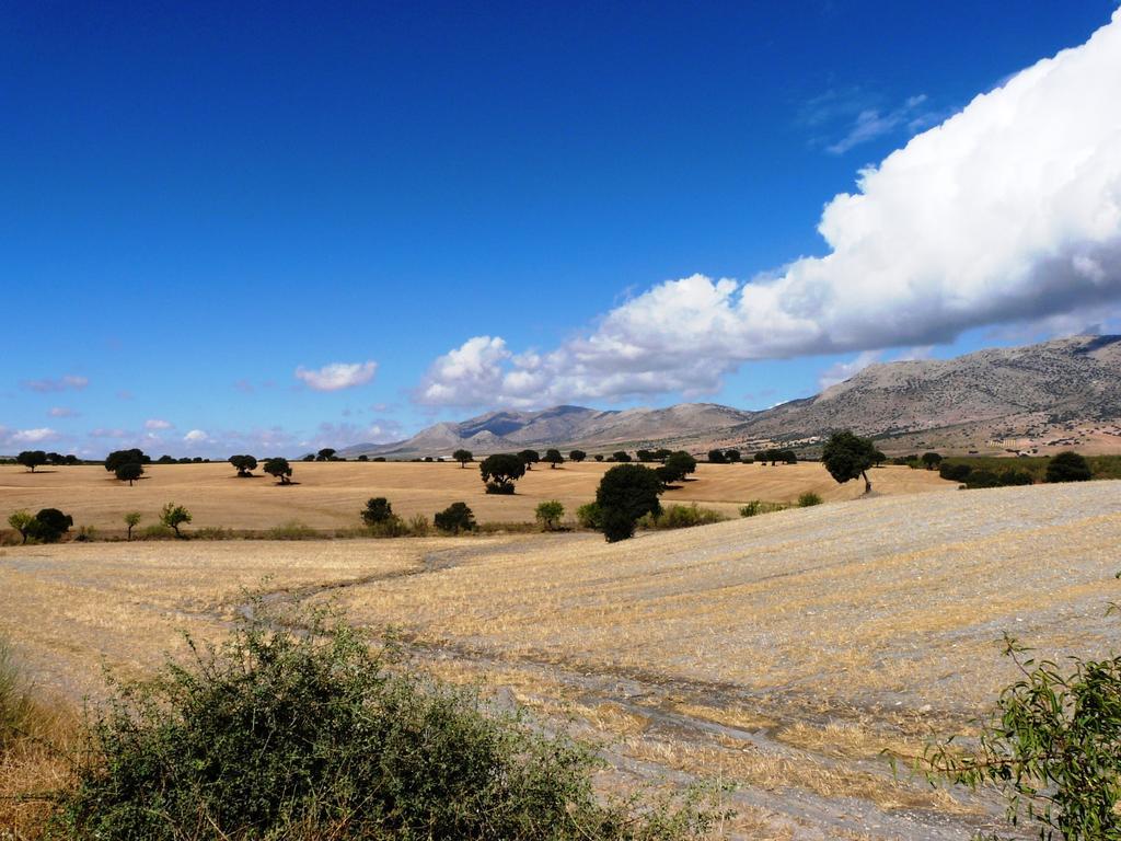 Cortijo La Estrella Apartment