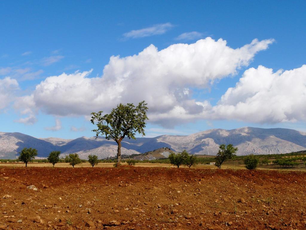 Cortijo La Estrella