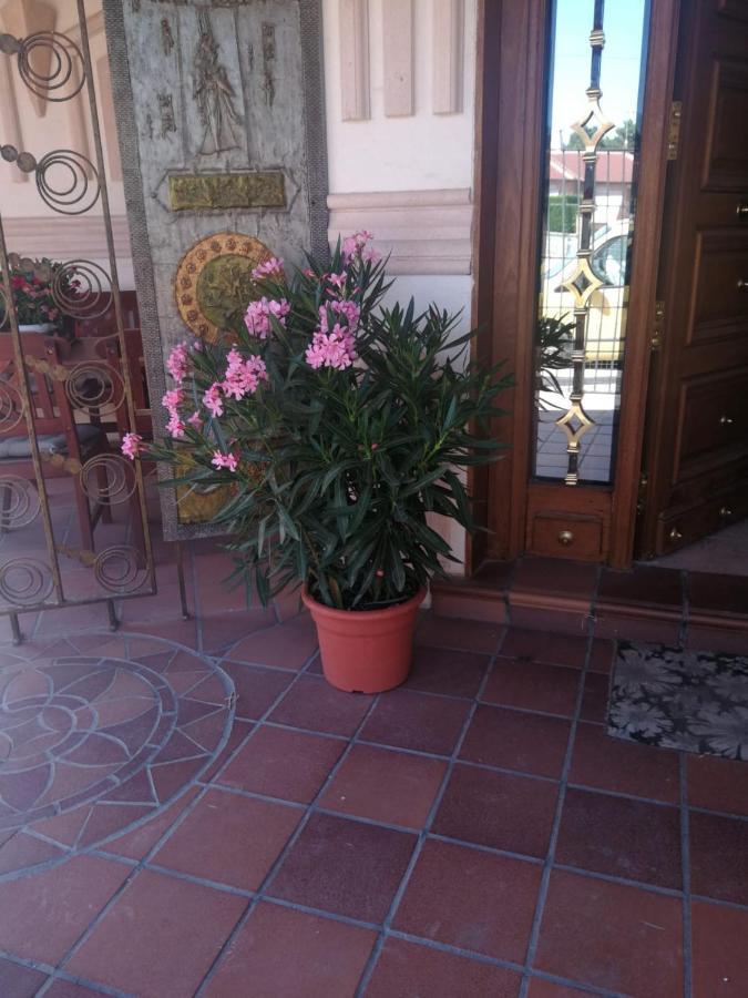 Villa Mimar De Pinares Holiday home *