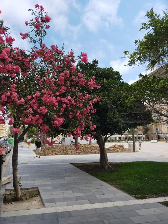 Margo La Mata * La Mata (Torrevieja)